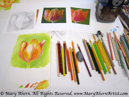 In this Mixed Media Art work I used colored pencil over watercolor