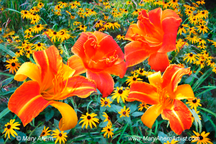 Daylilies and Rudbeckia by the Artist, Mary Ahern