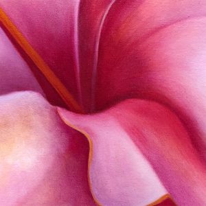 Pink Hibiscus oil painting by the artist, Mary Ahern